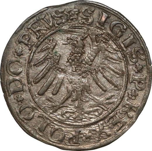 Реверс монеты - Шеляг 1531 года "Эльблонг" - цена серебряной монеты - Польша, Сигизмунд I Старый