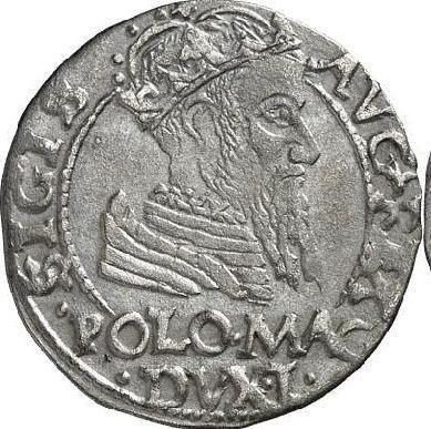 Аверс монеты - 1 грош 1566 года "Литва" - цена серебряной монеты - Польша, Сигизмунд II Август