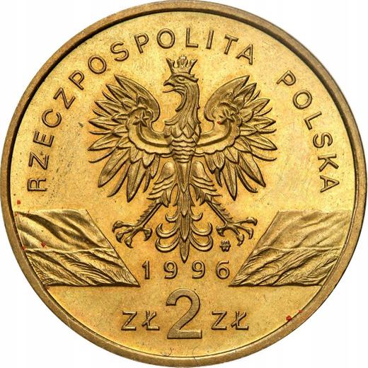 Awers monety - 2 złote 1996 MW NR "Jeż" - cena  monety - Polska, III RP po denominacji