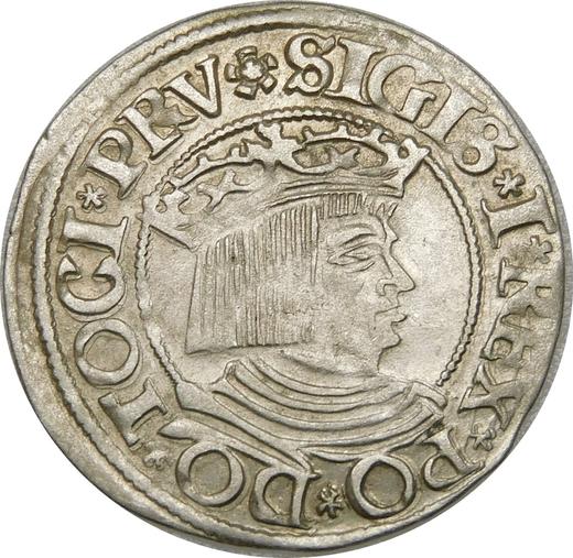 Аверс монеты - 1 грош 1534 года "Гданьск" - цена серебряной монеты - Польша, Сигизмунд I Старый