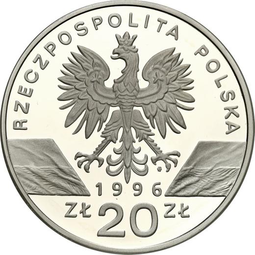 Аверс монеты - 20 злотых 1996 года MW NR "Ёж" - цена серебряной монеты - Польша, III Республика после деноминации