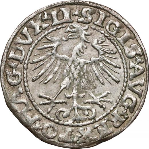Аверс монеты - Полугрош (1/2 гроша) 1552 года "Литва" - цена серебряной монеты - Польша, Сигизмунд II Август