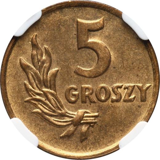 Revers Probe 5 Groszy 1949 Messing Ohne Inschrift "PRÓBA" - Münze Wert - Polen, Volksrepublik Polen