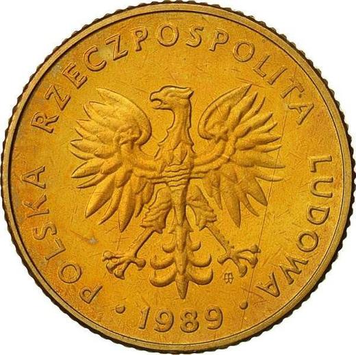 Аверс монеты - 10 злотых 1989 года MW Латунь - цена  монеты - Польша, Народная Республика