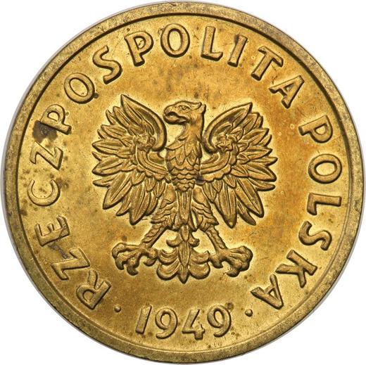 Аверс монеты - Пробные 5 грошей 1949 года Латунь - цена  монеты - Польша, Народная Республика