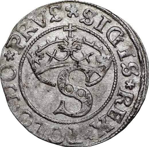 Аверс монеты - Шеляг 1531 года "Торунь" - цена серебряной монеты - Польша, Сигизмунд I Старый
