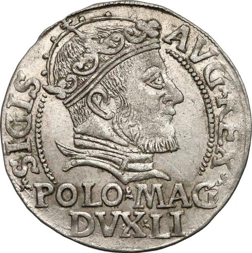 Аверс монеты - 1 грош 1546 года "Литва" - цена серебряной монеты - Польша, Сигизмунд II Август
