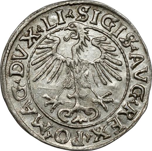 Аверс монеты - Полугрош (1/2 гроша) 1555 года "Литва" - цена серебряной монеты - Польша, Сигизмунд II Август
