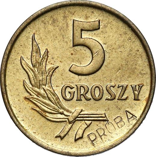 Revers Probe 5 Groszy 1958 Messing - Münze Wert - Polen, Volksrepublik Polen