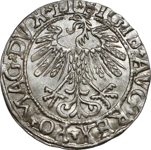 Awers monety - Półgrosz 1558 "Litwa" - cena srebrnej monety - Polska, Zygmunt II August
