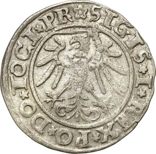 Rewers monety - 1 grosz 1534 "Elbląg" - cena srebrnej monety - Polska, Zygmunt I Stary