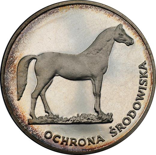 Реверс монеты - 100 злотых 1981 года MW "Конь" Серебро - цена серебряной монеты - Польша, Народная Республика