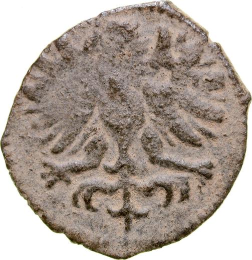 Avers Denar 1589 CWF "Typ 1588-1612" - Silbermünze Wert - Polen, Sigismund III