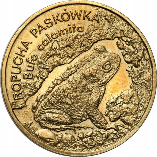 Реверс монеты - 2 злотых 1998 года MW ET "Камышовая жаба" - цена  монеты - Польша, III Республика после деноминации