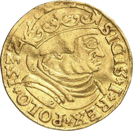 Anverso Ducado 1532 CN - valor de la moneda de oro - Polonia, Segismundo I el Viejo