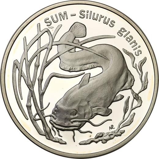 Реверс монеты - 20 злотых 1995 года MW NR "Сом" - цена серебряной монеты - Польша, III Республика после деноминации