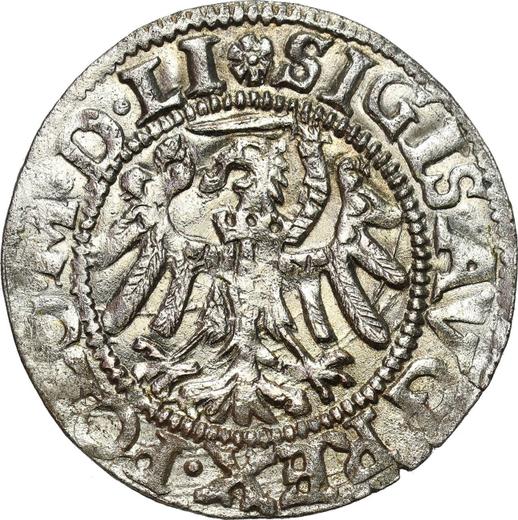 Аверс монеты - Шеляг 1551 года "Гданьск" - цена серебряной монеты - Польша, Сигизмунд II Август