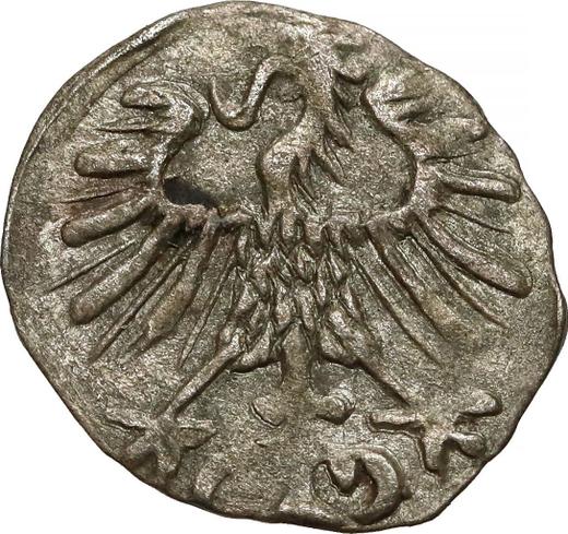 Аверс монеты - Денарий 1557 года "Литва" - цена серебряной монеты - Польша, Сигизмунд II Август