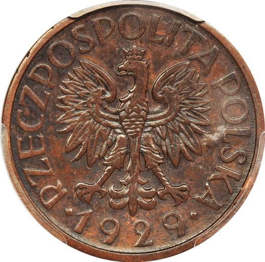 Аверс монеты - Пробный 1 злотый 1929 года "Диаметр 25 мм" Медь - цена  монеты - Польша, II Республика