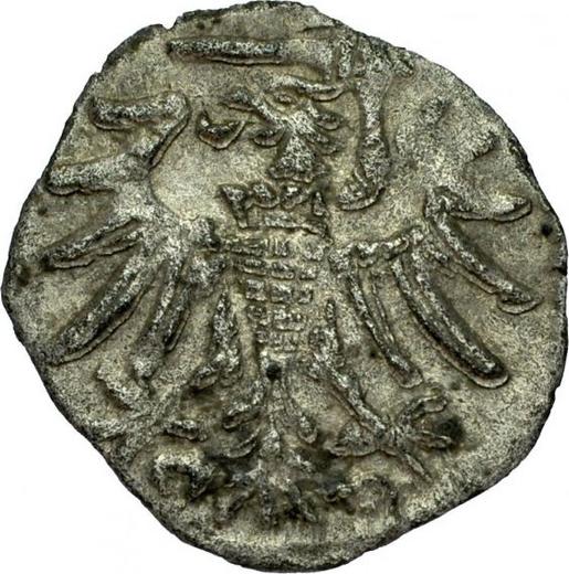 Awers monety - Denar 1551 "Gdańsk" - cena srebrnej monety - Polska, Zygmunt II August