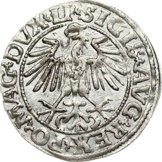 Аверс монеты - Полугрош (1/2 гроша) 1549 года "Литва" - цена серебряной монеты - Польша, Сигизмунд II Август