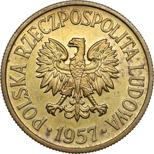 Аверс монеты - Пробные 50 грошей 1957 года Латунь - цена  монеты - Польша, Народная Республика
