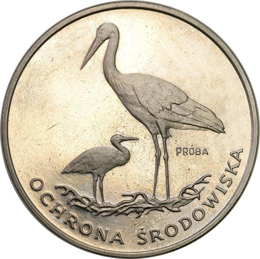 Реверс монеты - Пробные 100 злотых 1982 года MW "Аисты" Никель - цена  монеты - Польша, Народная Республика