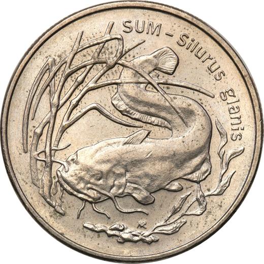 Rewers monety - 2 złote 1995 MW NR "Sum" - cena  monety - Polska, III RP po denominacji
