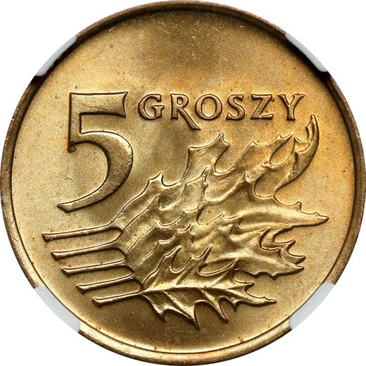 Rewers monety - 5 groszy 1993 MW - cena  monety - Polska, III RP po denominacji