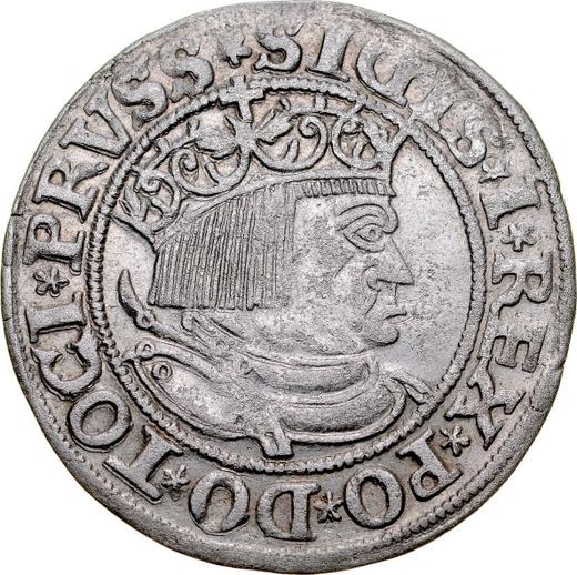 Awers monety - 1 grosz 1533 "Toruń" - cena srebrnej monety - Polska, Zygmunt I Stary