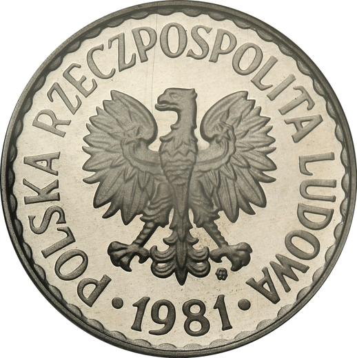 Аверс монеты - 1 злотый 1981 года MW - цена  монеты - Польша, Народная Республика