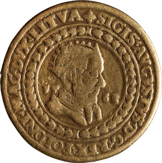 Аверс монеты - 10 дукатов (Португал) 1562 года "Литва" - цена золотой монеты - Польша, Сигизмунд II Август
