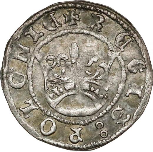 Awers monety - Półgrosz bez daty (1506-1548) - cena srebrnej monety - Polska, Zygmunt I Stary