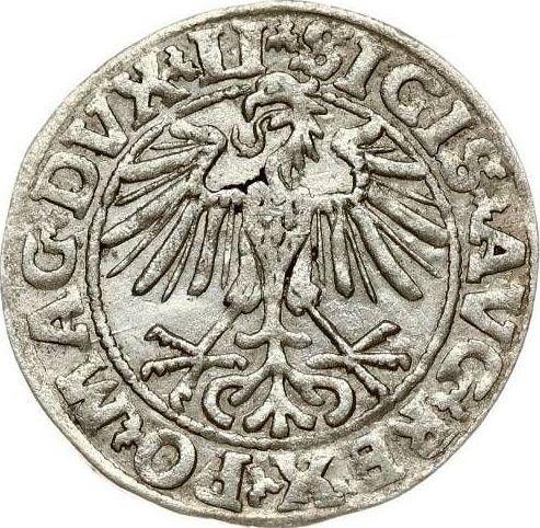 Аверс монеты - Полугрош (1/2 гроша) 1550 года "Литва" - цена серебряной монеты - Польша, Сигизмунд II Август