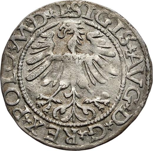 Аверс монеты - Полугрош (1/2 гроша) 1565 года "Литва" - цена серебряной монеты - Польша, Сигизмунд II Август