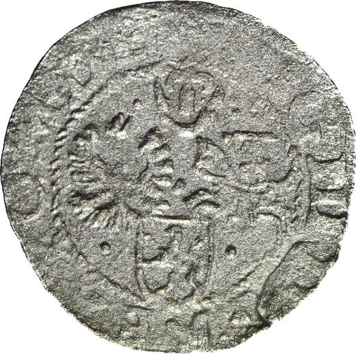 Реверс монеты - Шеляг 1599 года "Всховский монетный двор" - цена серебряной монеты - Польша, Сигизмунд III Ваза