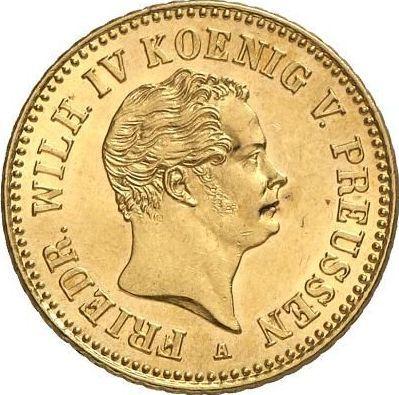 Аверс монеты - Фридрихсдор 1849 года A - цена золотой монеты - Пруссия, Фридрих Вильгельм IV