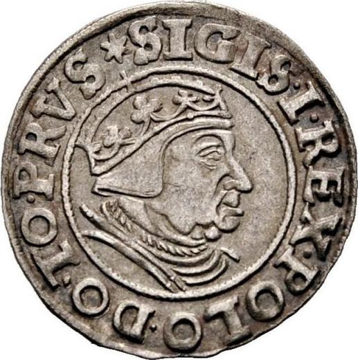 Аверс монеты - 1 грош 1539 года "Гданьск" - цена серебряной монеты - Польша, Сигизмунд I Старый