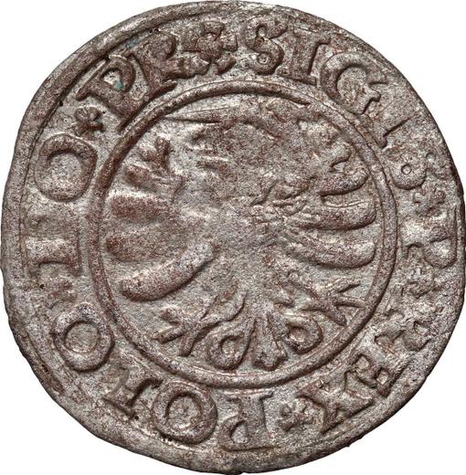 Rewers monety - Szeląg 1530 "Elbląg" - cena srebrnej monety - Polska, Zygmunt I Stary