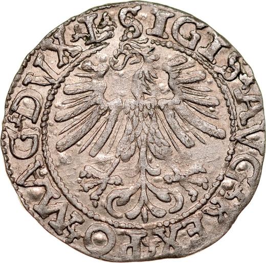 Awers monety - Półgrosz 1562 "Litwa" - cena srebrnej monety - Polska, Zygmunt II August