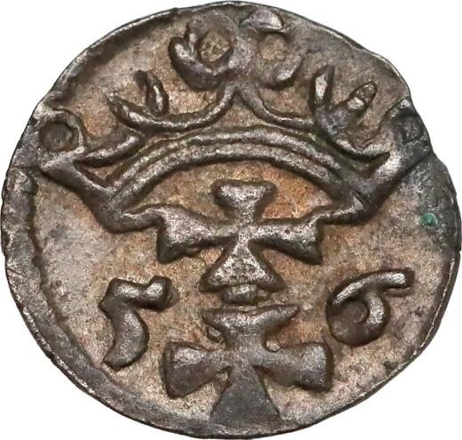 Реверс монеты - Денарий 1556 года "Гданьск" - цена серебряной монеты - Польша, Сигизмунд II Август