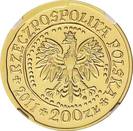 Anverso 200 eslotis 2011 MW NR "Pigargo europeo" - valor de la moneda de oro - Polonia, República moderna