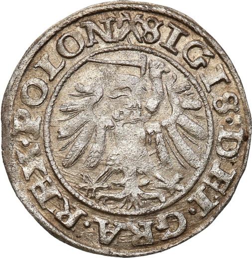 Реверс монеты - Шеляг 1540 года "Гданьск" - цена серебряной монеты - Польша, Сигизмунд I Старый