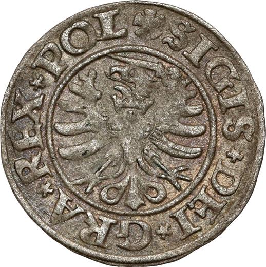 Реверс монеты - Шеляг 1530 года "Гданьск" - цена серебряной монеты - Польша, Сигизмунд I Старый