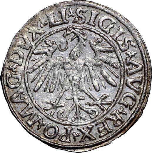 Аверс монеты - Полугрош (1/2 гроша) 1547 года "Литва" - цена серебряной монеты - Польша, Сигизмунд II Август