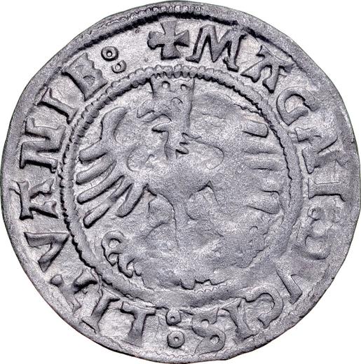 Реверс монеты - Полугрош (1/2 гроша) 1523 года "Литва" - цена серебряной монеты - Польша, Сигизмунд I Старый