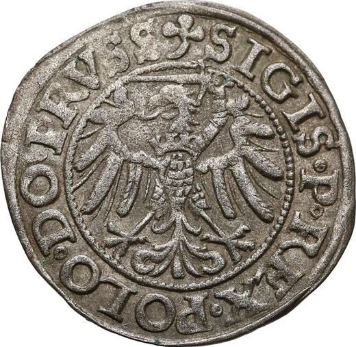 Реверс монеты - Шеляг 1539 года "Эльблонг" - цена серебряной монеты - Польша, Сигизмунд I Старый