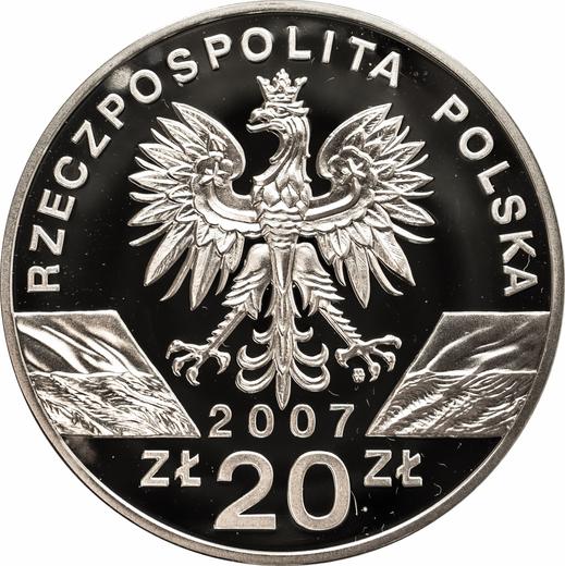 Аверс монеты - 20 злотых 2007 года MW RK "Длинномордый тюлень" - цена серебряной монеты - Польша, III Республика после деноминации