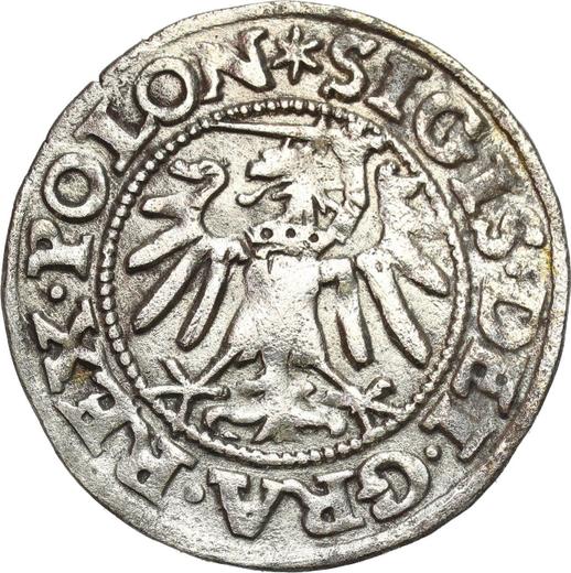 Реверс монеты - Шеляг 1547 года "Гданьск" - цена серебряной монеты - Польша, Сигизмунд I Старый