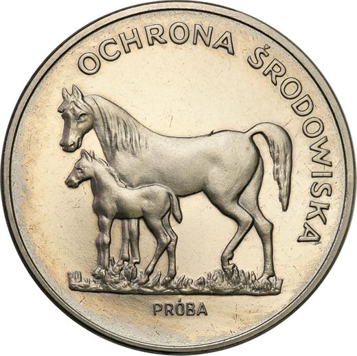 Реверс монеты - Пробные 100 злотых 1981 года MW "Кони" Никель - цена  монеты - Польша, Народная Республика